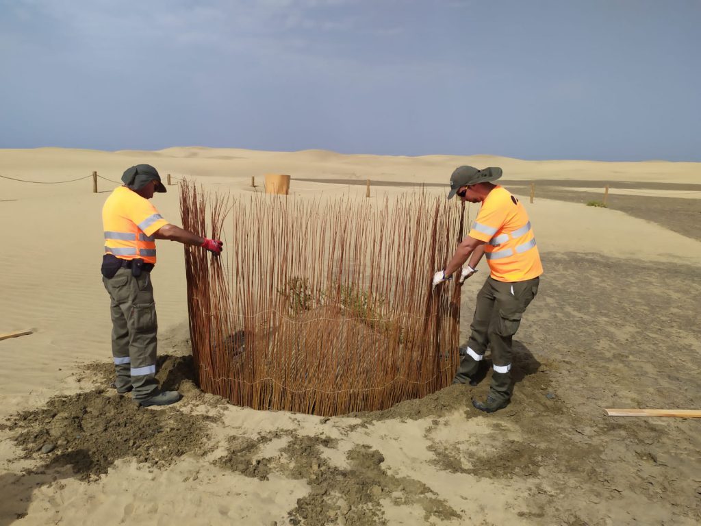 Del goro al balancón: la transformación silenciosa de Maspalomas